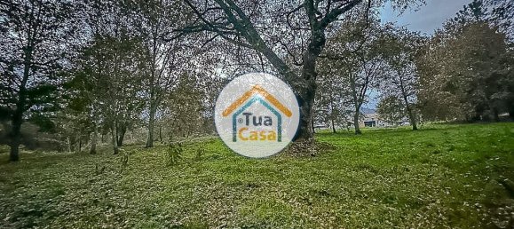 10350m² Land in Sao Pedro do Sul, Portugal No. 58289 8