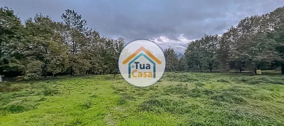 10350m² Land in Sao Pedro do Sul, Portugal No. 58289 5