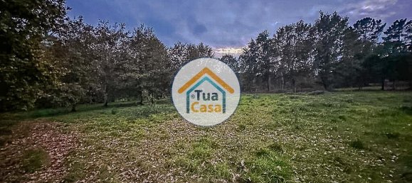 10350m² Land in Sao Pedro do Sul, Portugal No. 58289 12