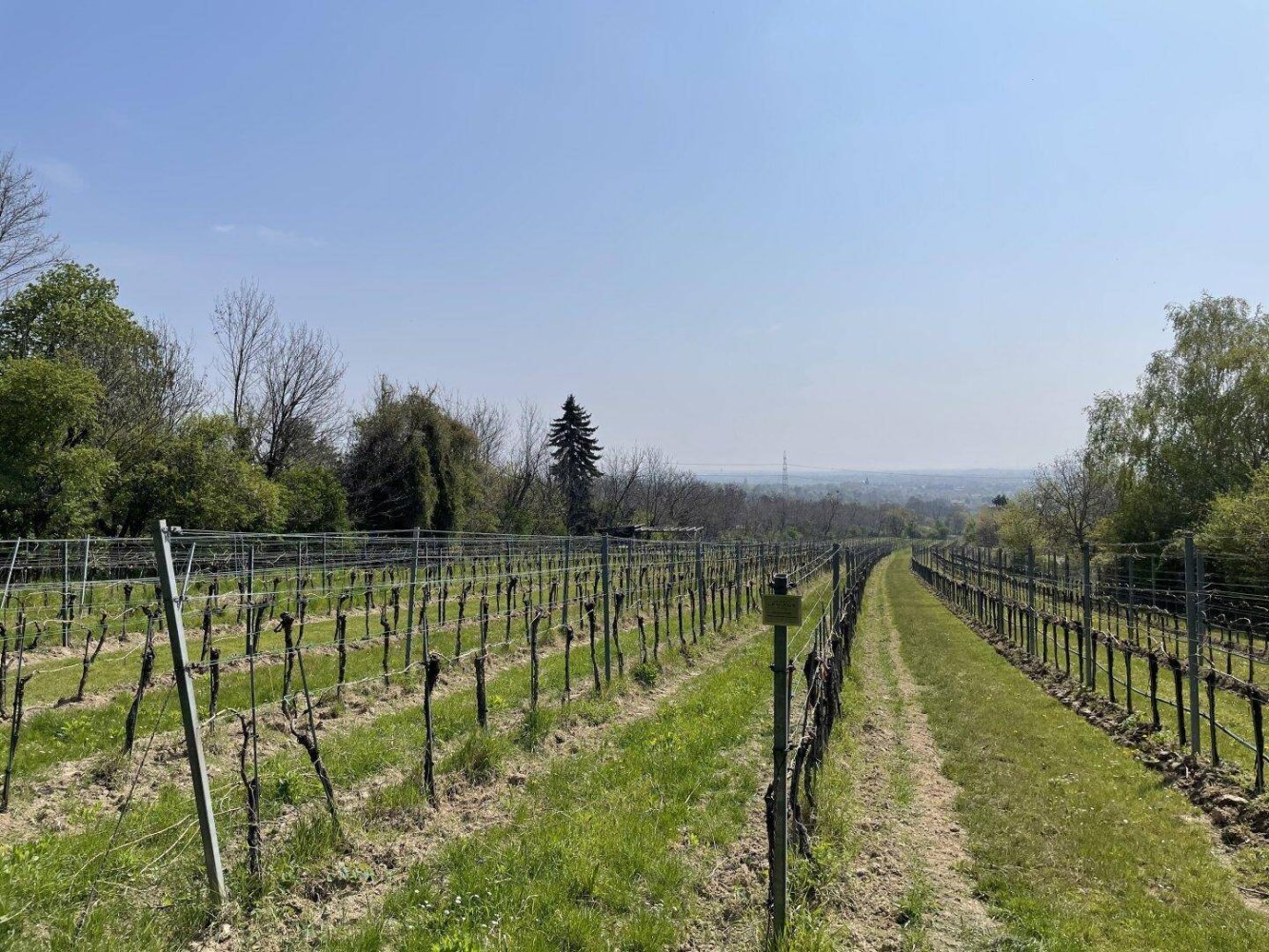  Land in Vienna, Austria No. 113657