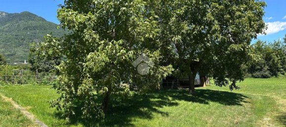 2400m² Land in Postalesio, Italy No. 146791 14