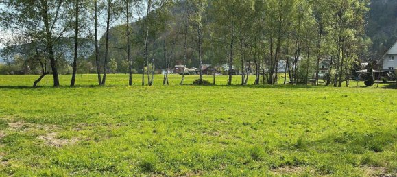 3187m² Land in Hohenems, Austria No. 133264 3