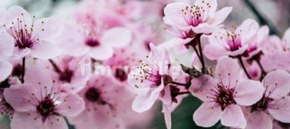 3 bedrooms Villa in Castiglione dei Pepoli, Italy No. 89808 22