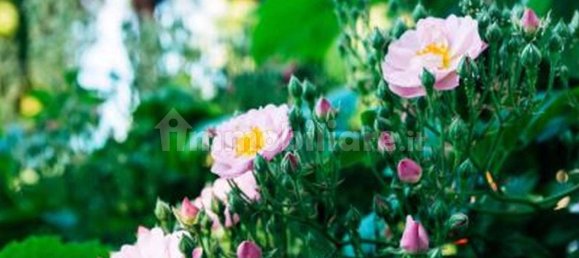 3 bedrooms Villa in Castiglione dei Pepoli, Italy No. 89808 27