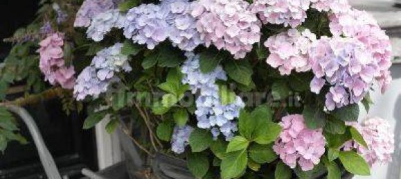 3 bedrooms Villa in Castiglione dei Pepoli, Italy No. 89808 21