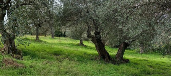 Земельный участок 13500м² в Альгеро, Италия № 251549 6