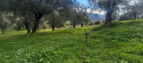 Земельный участок 13500м² в Альгеро, Италия № 251549 10