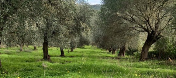 Земельный участок 13500м² в Альгеро, Италия № 251549 4