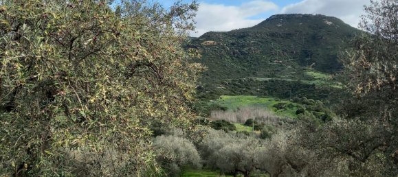 Земельный участок 13500м² в Альгеро, Италия № 251549 2