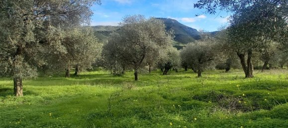 Земельный участок 13500м² в Альгеро, Италия № 251549 8