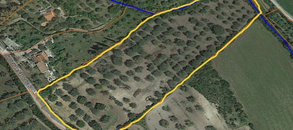 Земельный участок 13500м² в Альгеро, Италия № 251549 12