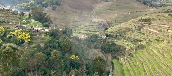 1 غرف نوم منزل في Peso da Regua, Portugal رقم 17445 19