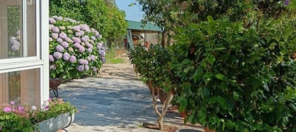 4 bedrooms Villa in Palmela, Portugal No. 278812 20