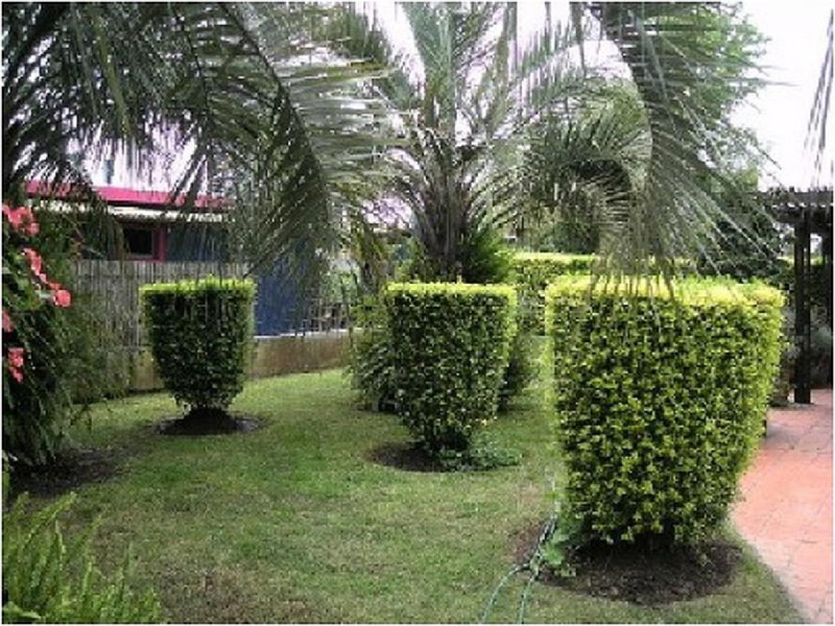 3 bedrooms House in Maldonado, Uruguay No. 12058