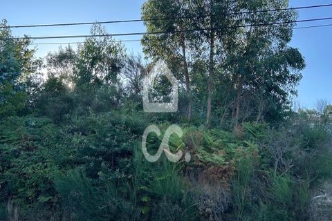  Land in Pacos de Ferreira, Portugal No. 310025