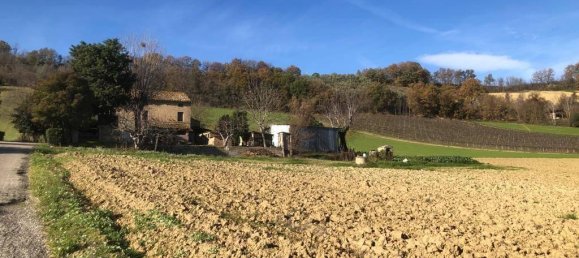 26 rooms Villa in Ripatransone, Italy No. 151085 26