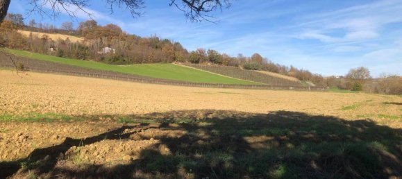 26 rooms Villa in Ripatransone, Italy No. 151085 32