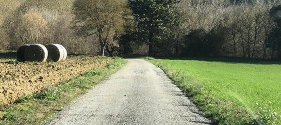 26 rooms Villa in Ripatransone, Italy No. 151085 28