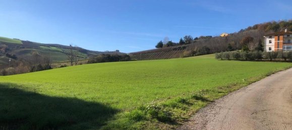 26 rooms Villa in Ripatransone, Italy No. 151085 30