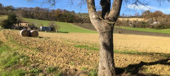 26 rooms Villa in Ripatransone, Italy No. 151085 31