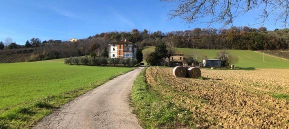 26 rooms Villa in Ripatransone, Italy No. 151085 29