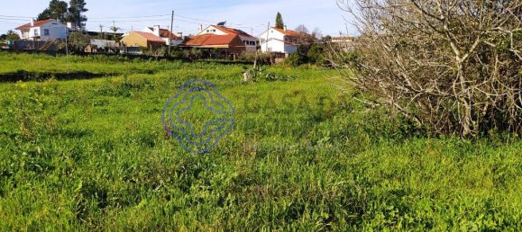 Земельный участок 2682м² в Томар, Португалия № 79580 3