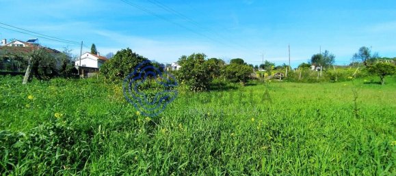 Земельный участок 2682м² в Томар, Португалия № 79580 8