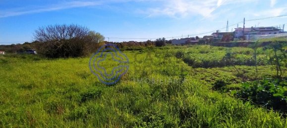 Земельный участок 2682м² в Томар, Португалия № 79580 14