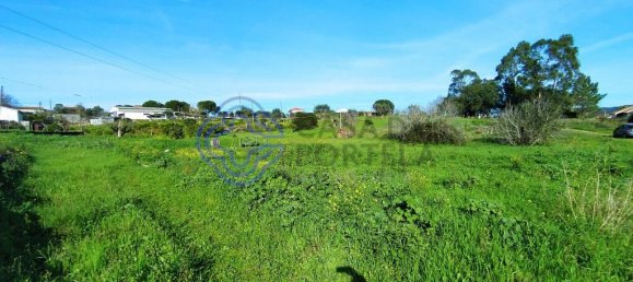 Земельный участок 2682м² в Томар, Португалия № 79580 12