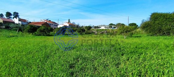 Земельный участок 2682м² в Томар, Португалия № 79580 7