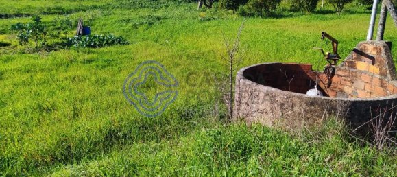 Земельный участок 2682м² в Томар, Португалия № 79580 5