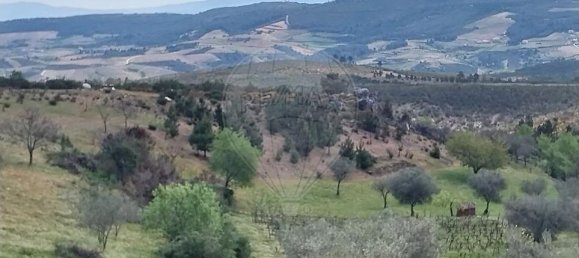 3 Schlafzimmer Haus in Murca, Portugal, Nr. 175310 46