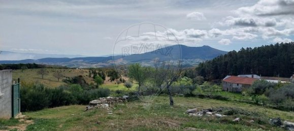 3 Schlafzimmer Haus in Murca, Portugal, Nr. 175310 44