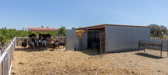  قطعة أرض في Padul, Spain 47متر مربع رقم 158617 24