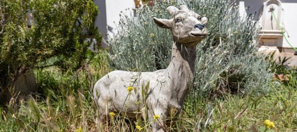  قطعة أرض في Padul, Spain 47متر مربع رقم 158617 5