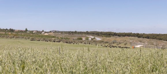  قطعة أرض في Padul, Spain 47متر مربع رقم 158617 7