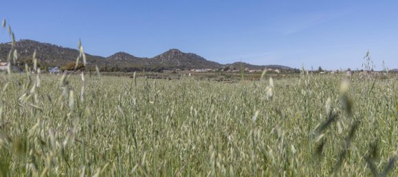  قطعة أرض في Padul, Spain 47متر مربع رقم 158617 11