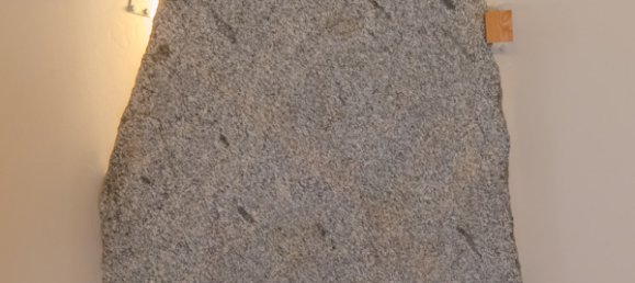 7 rooms Townhouse in Schleswig-Holstein, Germany No. 35712 9