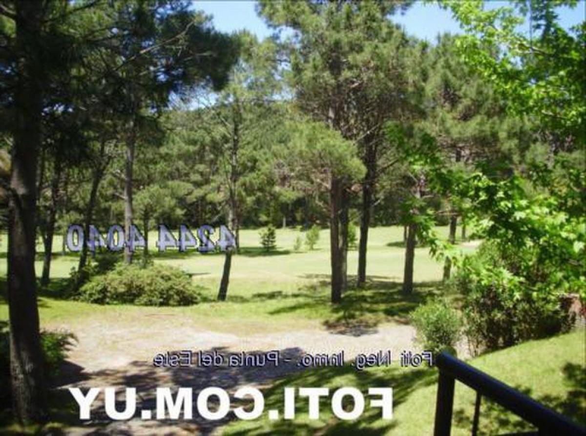 Дом с 5 спальнями в Мальдонадо, Уругвай № 8502