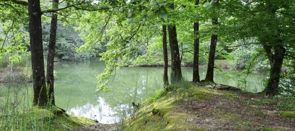 7 bedrooms House in Saint-Forget, France No. 180595 27