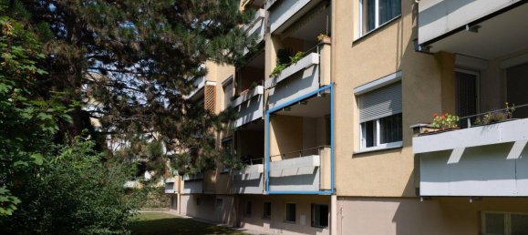 3 rooms Apartment in Langenzersdorf, Austria No. 240985 13