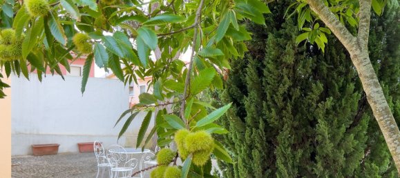 5 bedrooms House in Cascais, Portugal No. 93370 26