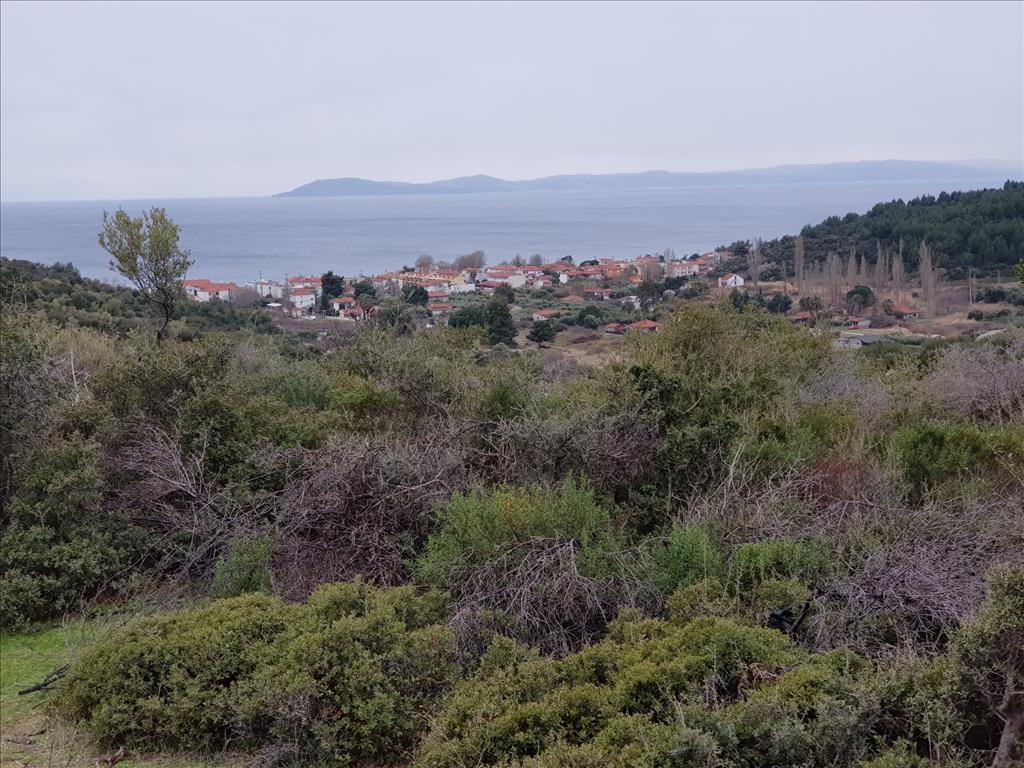 Hotel in Chalkidiki, Greece 12500m², Nr. 16012