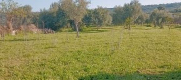 10000m² Land in Floridia, Italy No. 45878 16