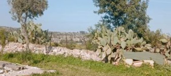 10000m² Land in Floridia, Italy No. 45878 14