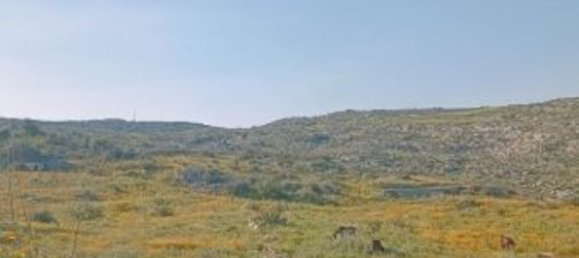 10000m² Land in Floridia, Italy No. 45878 21