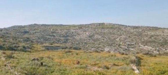 10000m² Land in Floridia, Italy No. 45878 22