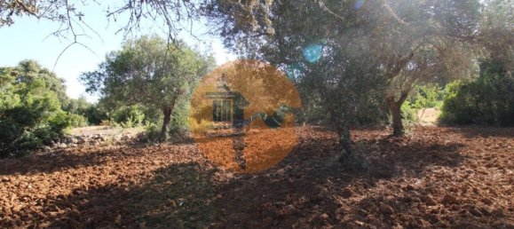 Terreno en Faro, Portugal 5600 m² No. 49498 19