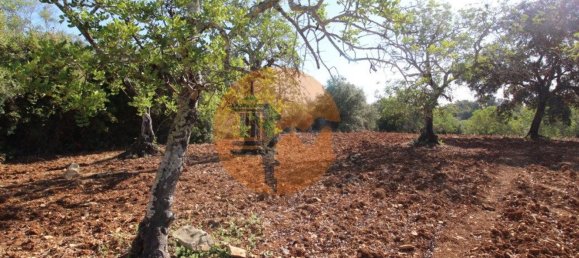 Terreno en Faro, Portugal 5600 m² No. 49498 4