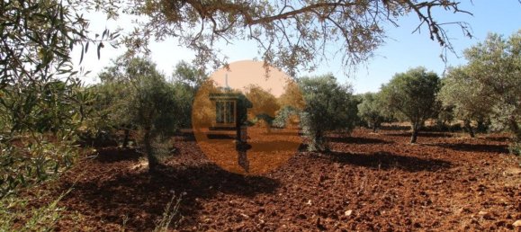 Terreno en Faro, Portugal 5600 m² No. 49498 16